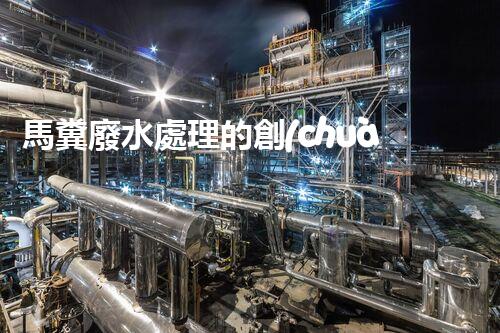 馬糞廢水處理的創(chuàng)新技術(shù)與應(yīng)用？